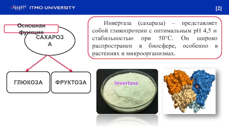 Фермент сахараза. Сахараза характеристика фермента. Фермент сахарозы. Инвертаза фермент. Сахараза фермент PH.