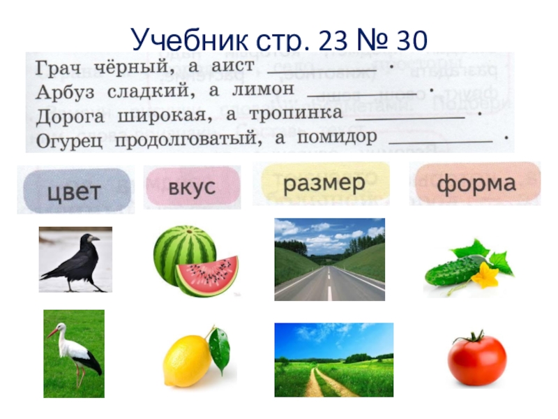 Презентация 1 класс слова отвечающие на вопросы какой какая какие 1 класс