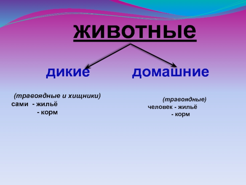 Презентация по окружающему миру 2 класс дикие и домашние животные