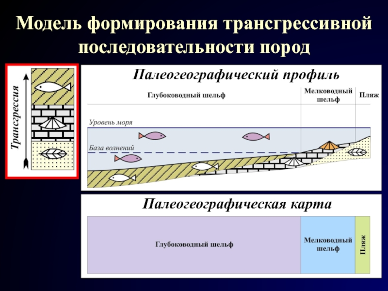 Ядерная геохронология презентация