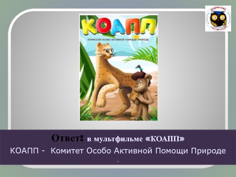 Особо активные. КОАПП сонное царство. КОАПП комиссия особо активной помощи природе. КОАПП симбиоз. Мультфильм КОАПП SOS КОАППУ.