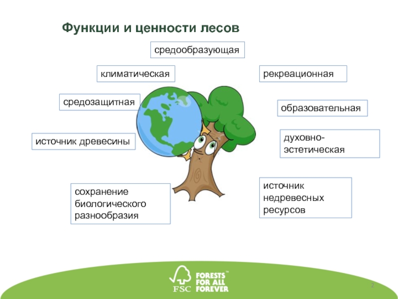 Используя материал краткой теории заполните схему экологические функции леса