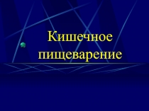 Кишечное пищеварение 