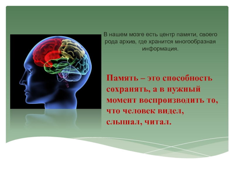 Память в каком отделе мозга. Мозг память. Мозг и память человека. Мозг человека информация. Строение памяти человека.