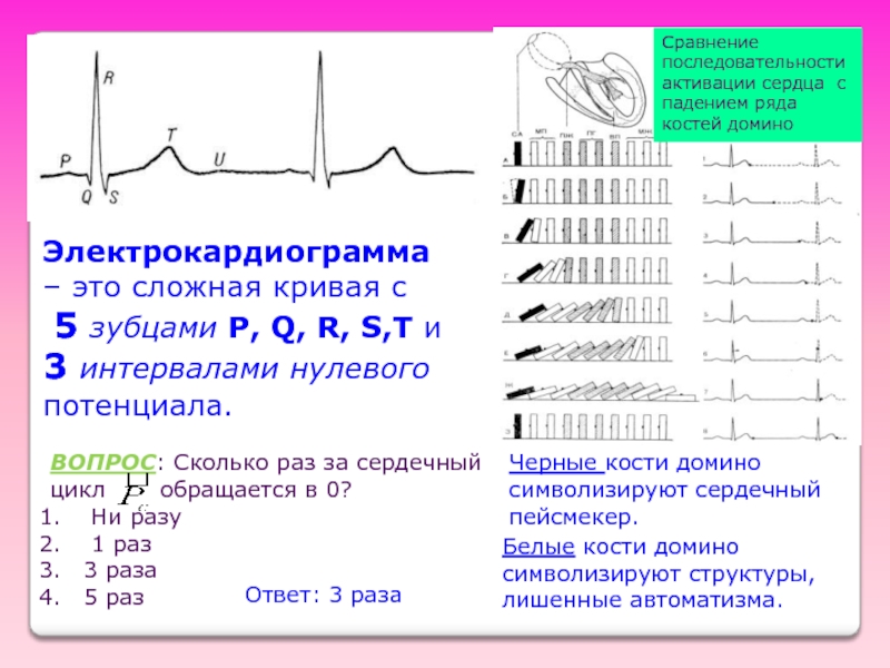 План описания экг