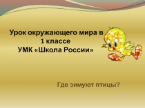 Презентация к уроку окружающего мира Где зимуют птицы?