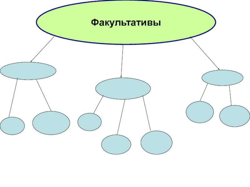 Виды факультативов. Модель нарисовать по информатике. Кружок и факультатив отличия. Явление природы макет Информатика. Информационная модель моей семьи.