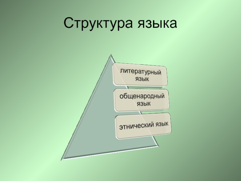 Структура языка. Структура русского языка. Иерархия языка. Структура литературного языка.