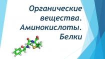 Органические вещества. Аминокислоты. Белки