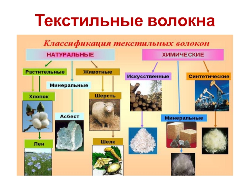 Схема виды текстильных волокон