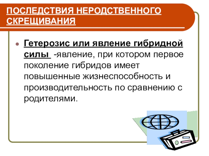 Гибридной силой называют. Явление гибридной силы. Неродственное скрещивание. Неродственное скрещивание характеристика. Неродственное скрещивание отрицательные последствия.