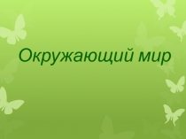 Презентация к уроку окружающего мира в 3 классе на тему 