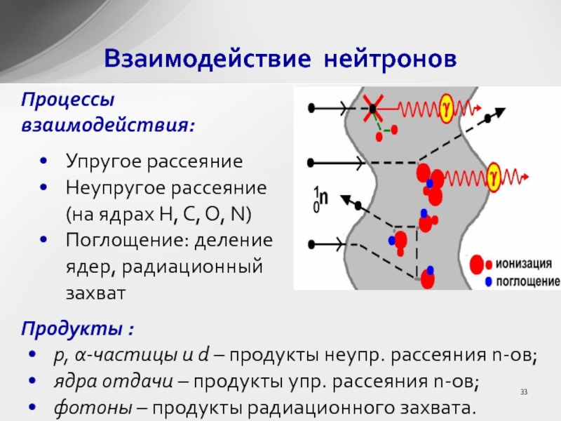 Поглощение частиц. Взаимодействие с нейтроном. Виды взаимодействия нейтронов с веществом. Процессы взаимодействия нейтронов с веществом. Упругое рассеяние нейтронов на ядрах.