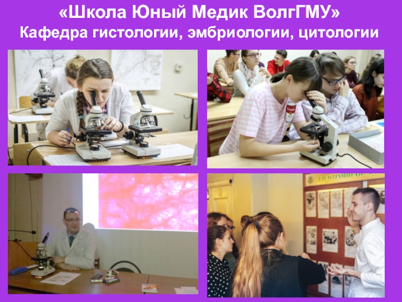 Школа Юный Медик ВолгГМУ Кафедра гистологии, эмбриологии, цитологии «Школа Юный Медик ВолгГМУ» Кафедра гистологии, эмбриологии, цитологии «Школа Юный Медик ВолгГМУ» Кафедра гистологии, эмбриологии, цитологии