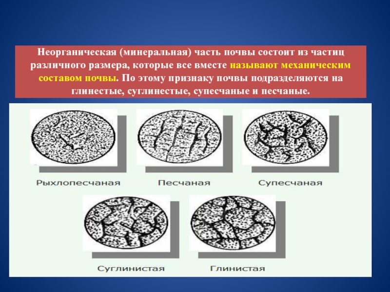 Минеральные почвы. Минеральные частицы почвы. Минеральный состав почвы. Минеральная часть почвы состоит. Неорганическая часть почвы.