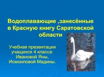 Водоплавающие ,занесённые в Красную книгу Саратовской области