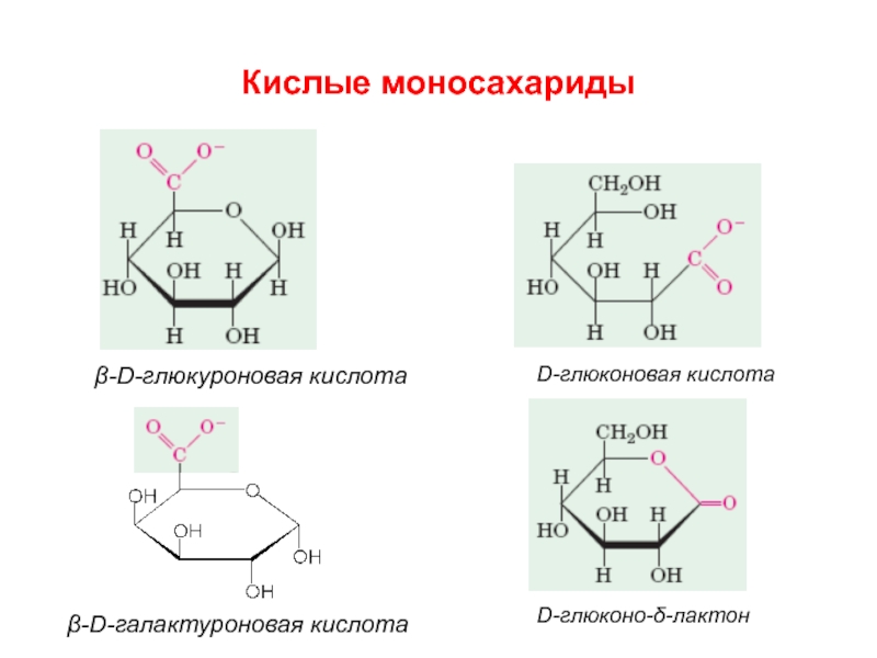 Глюкуроновая кислота для чего. Циклическая формула глюкуроновой кислоты. Формула галактуроновой кислоты. Глюконовая кислота циклическая формула. Глюкаровая кислота формула циклическая.