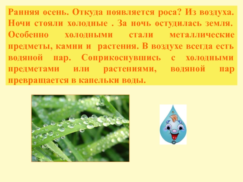 Почему после жаркого дня вечером появляется роса. Откуда появляется роса. Как образуется роса на траве. Откуда образуется роса. Откуда появляется роса для детей.