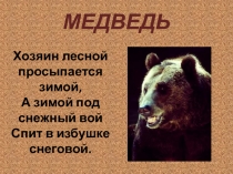 Медведь 1 класс