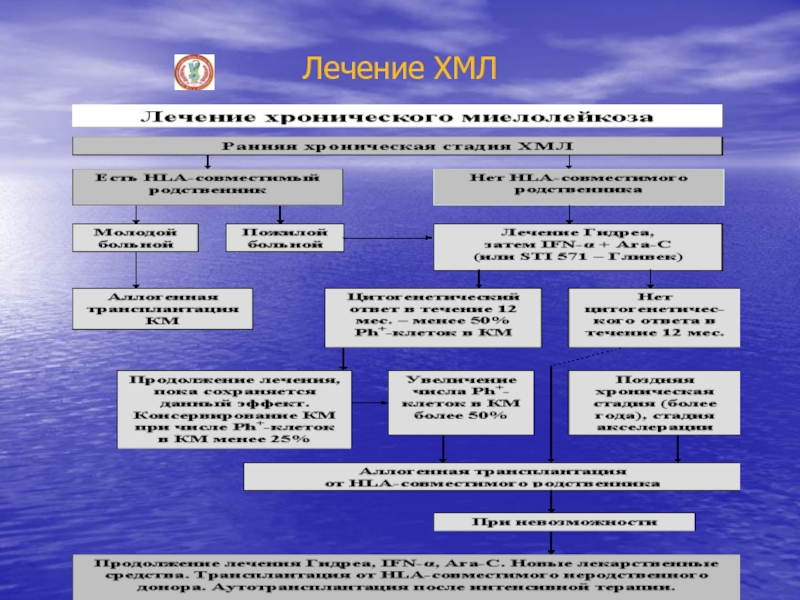 Проверка хмл схемы