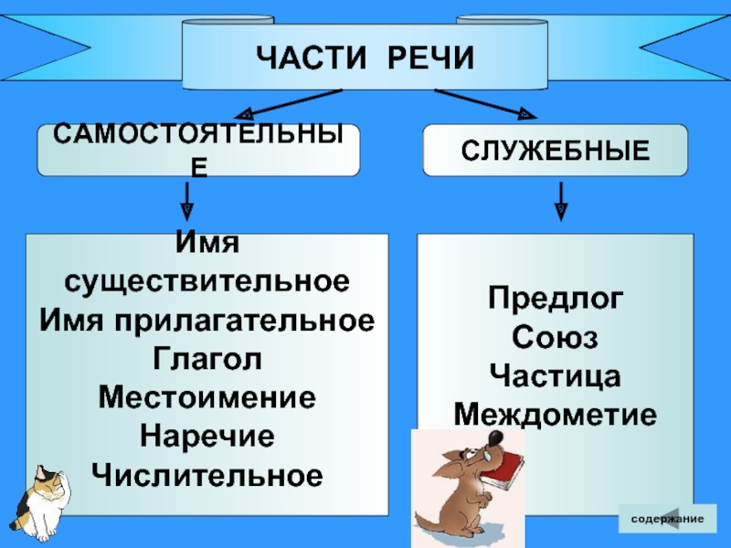 Самостоятельная и служебная речь. Предлоги слжебные и самост. Союз и предлог это части речи. Предлог Союз частица междометие. Предлоги служебные и самостоятельные.