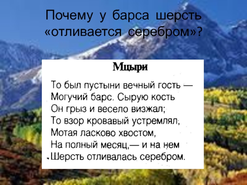 Почему 15. То был пустыни вечный гость могучий. Стих то был пустыни вечный гость могучий Барс. Кто был пустыни вечный гость могучий Барс. Могучий Барс сырую кость он грыз стих.