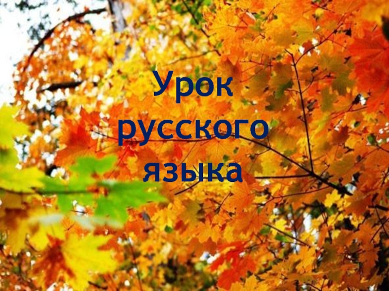 Русский язык  4 класс C казахским языком обучения Тема:  Имя существительное