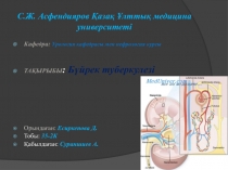 С.Ж. Асфендияров Қазақ Ұлттық медицина университеті