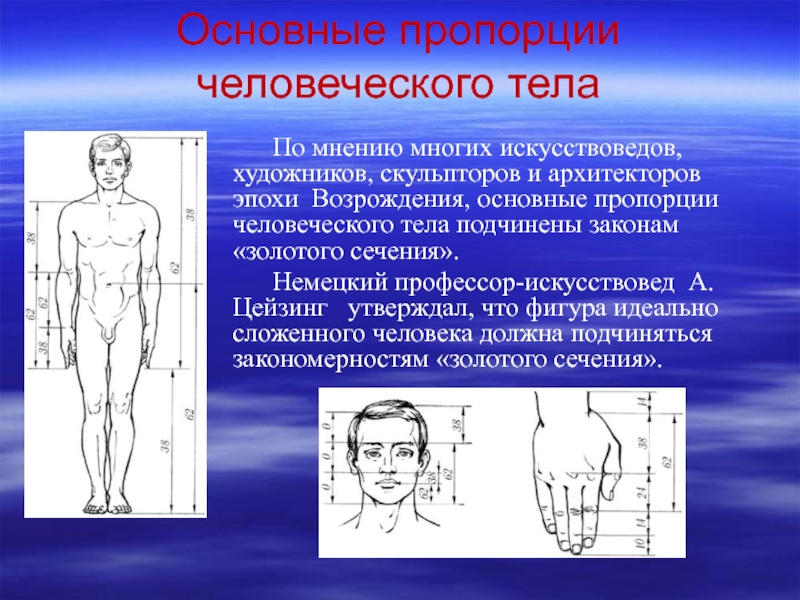 Презентация по теме пропорция