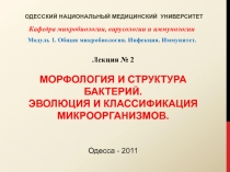 Лекция № 2 Морфология и структура бактерий. Эволюция и классификация