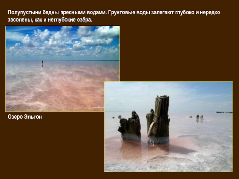 Внутренние воды полупустынь и пустынь. Воды пустынь и полупустынь. Внутренние воды пустынь России. Воды пустынь и полупустынь в России. Внутренние воды полупустынь.