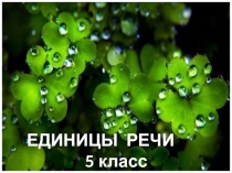 Единицы речи 5 класс