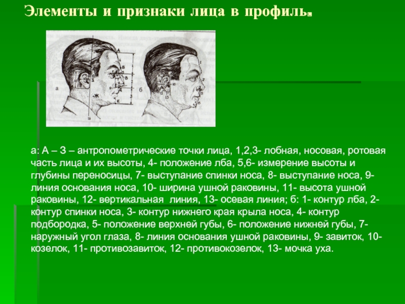 Элементы лица. Элементы лица человека. Габитоскопия презентация. Антропометрические точки лица.