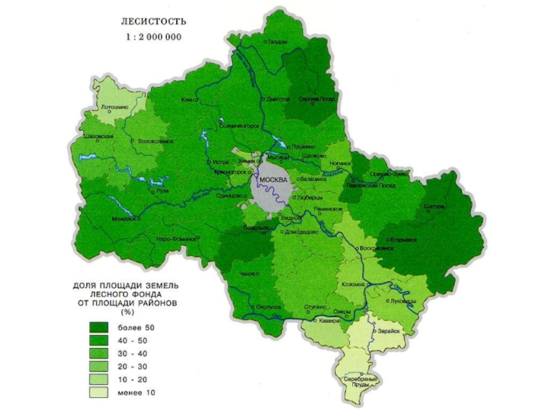 Карта хвойного леса московской области