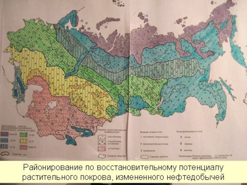 Территория с наибольшей степенью нарушения природных ландшафтов. Районирование русской равнины. Таежные ландшафты карта.