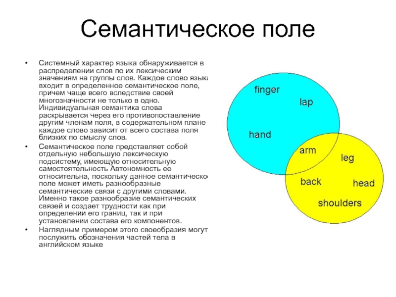 Поле признаков. Семантическое поле. Понятие семантического поля.. Лексико-семантическое поле примеры. Семантика семантическое поле.