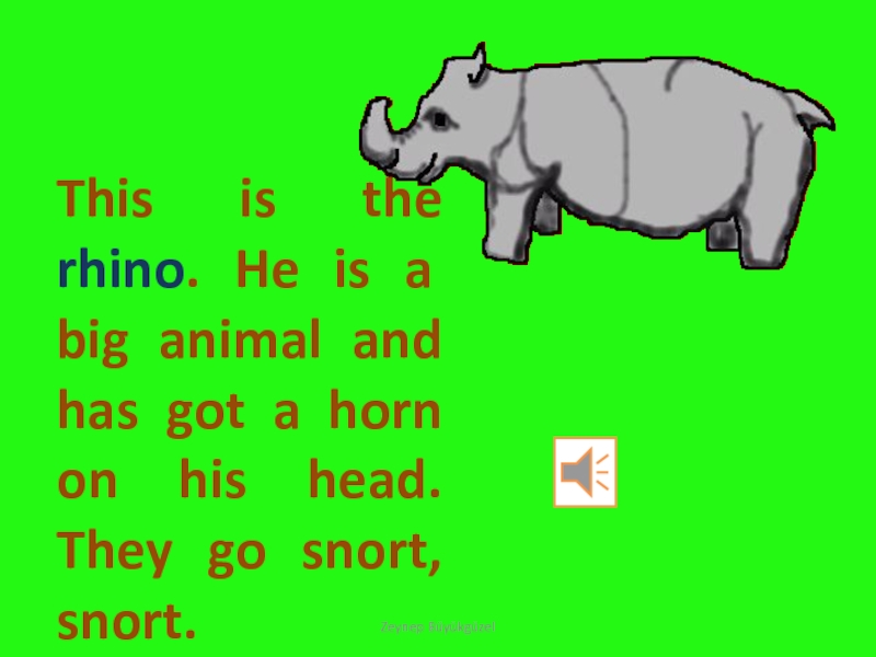 This is the rhino. He is a big animal and has got a horn on his head.
