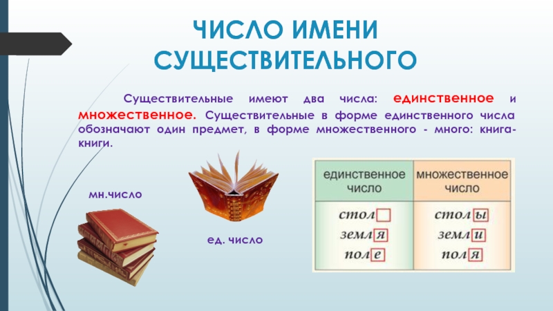 Торт какое число единственное или множественное