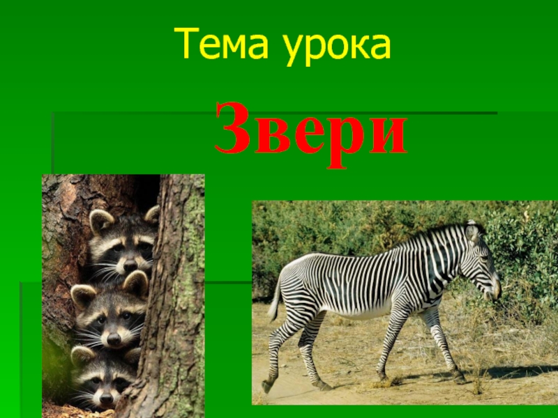 Урок животные. Презентация на тему животные. Темы для презентации животн. Животные для презентации. Тема урока животные.