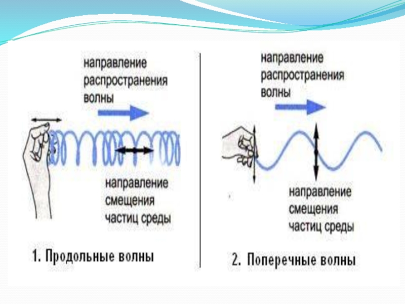 Направление распространения. Продольные ультразвуковые волны. Продольные механические волны. Поперечные волны. Продольные и поперечные механические волны.