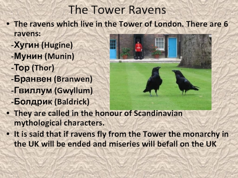 The ravens are the unique. Тауэрские вороны на английском языке. Tower of London рассказ. Ravens in the Tower of London. Вороны английского Тауэра.