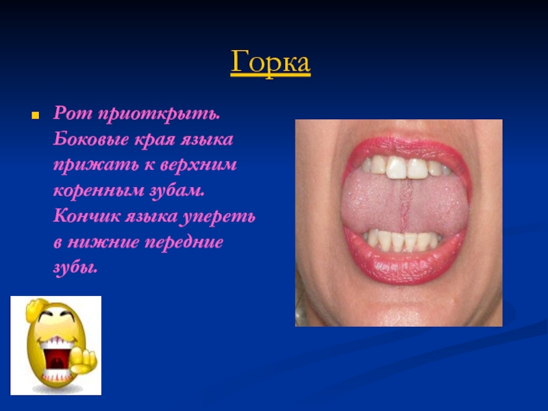 ГоркаРот приоткрыть. Боковые края языка прижать к верхним коренным зубам. Кончик языка упереть в нижние передние зубы.