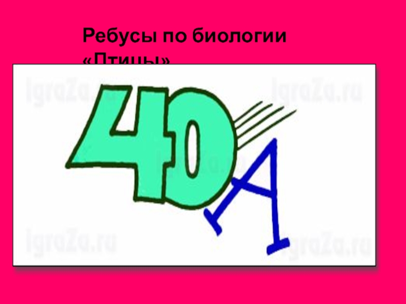 Ребусы по биологии. Ребусы биология. Ребусы по биологии про птиц. Ребусы для детей по биологии. Биологические ребусы в картинках.