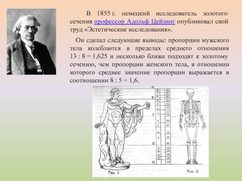 Гипотеза об истоках золотого сечения проект