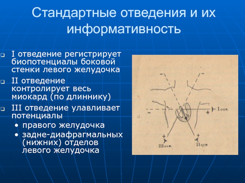 Физические основы электрокардиографии презентация