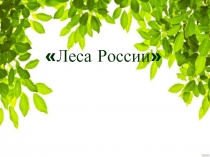 Леса России