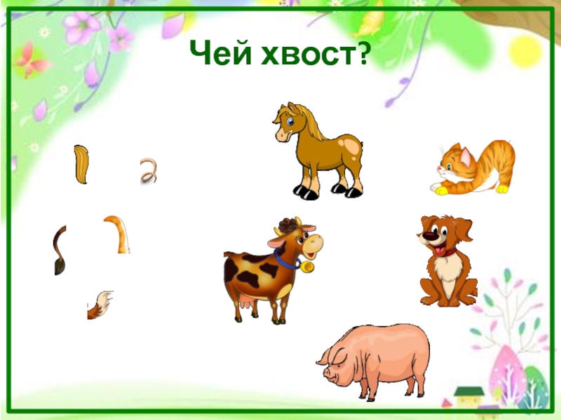 Презентация игра про животных