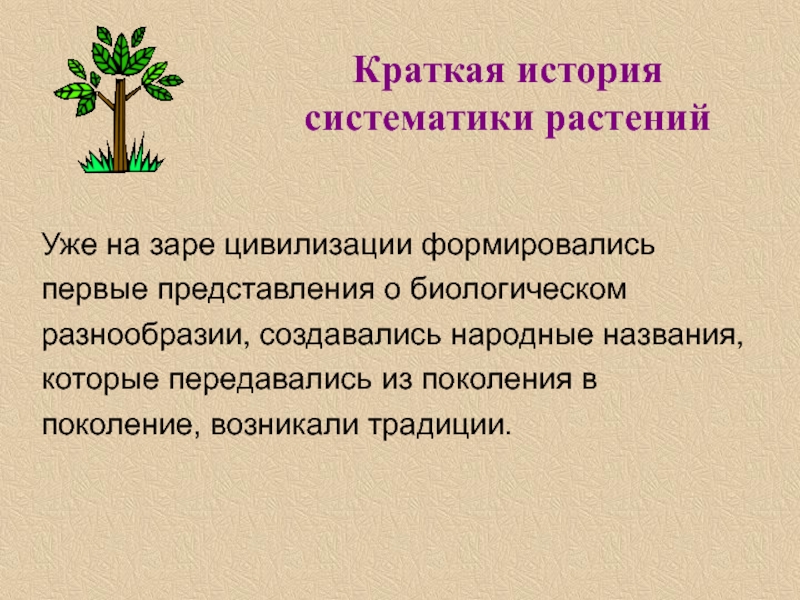 Краткая история
систематики растений
Уже на заре цивилизации формировались