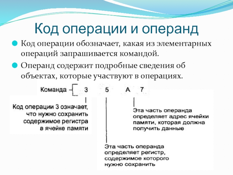 Операнд x обозначает