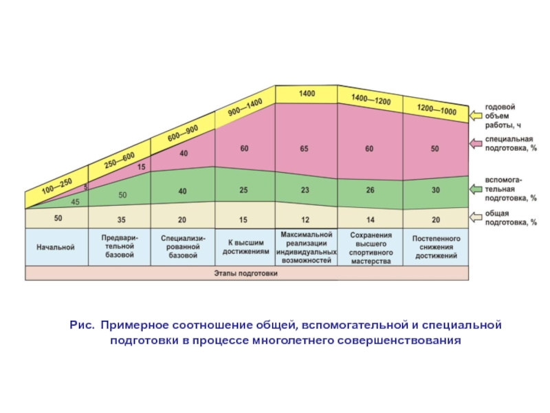 Схема периодизации тренировок